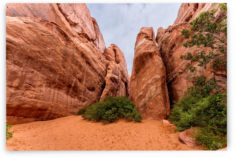 Inside Sand Dune Arch Mountain by Jennifer White