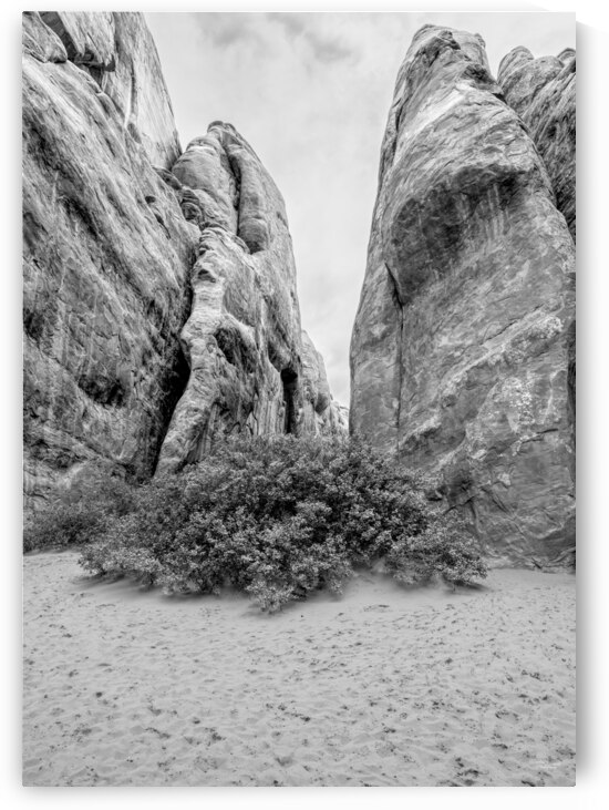 Inside Sand Dune Arch Mountain Vertical Grayscale by Jennifer White