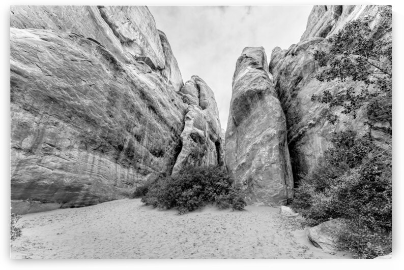 Inside Sand Dune Arch Mountain Grayscale by Jennifer White