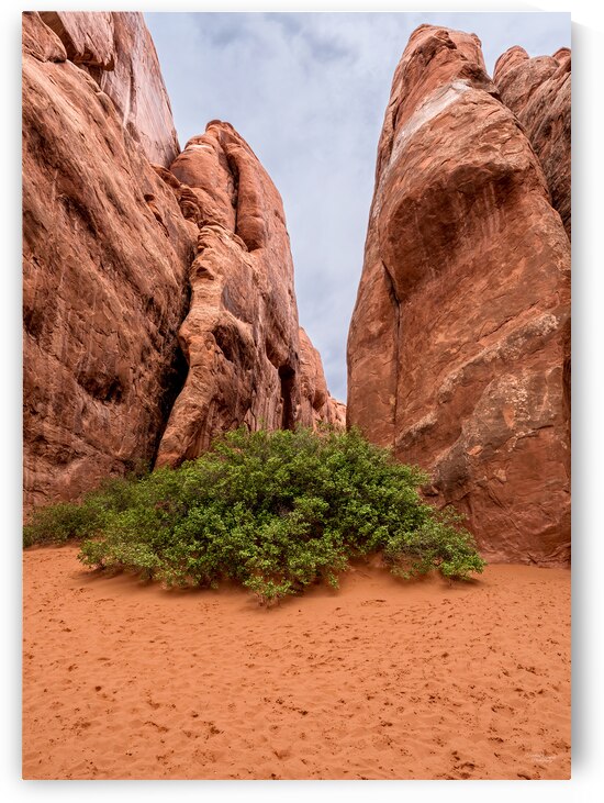 Inside Sand Dune Arch Mountain Vertical by Jennifer White