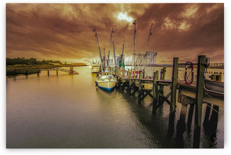Day of Rest at Port Royal by Norma Brandsberg Photography