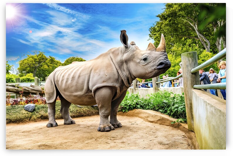 A rhinoceros in what appears to be a zoo or wildl by Petre Popescu