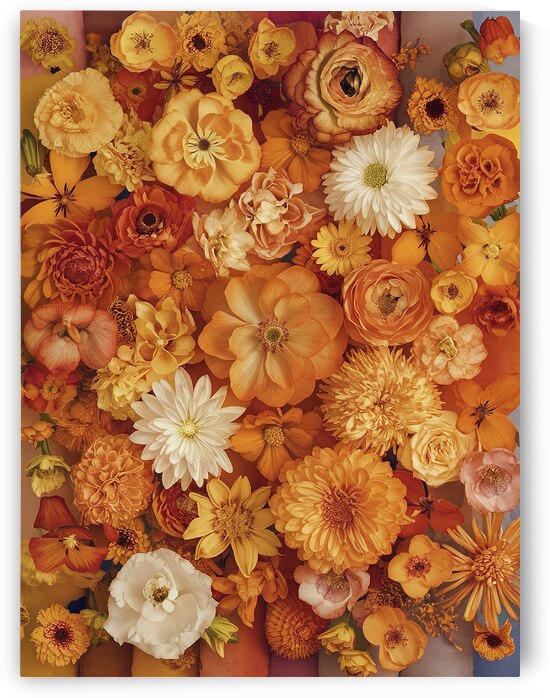 A vibrant cluster of flowers with a predominant o by Petre Popescu