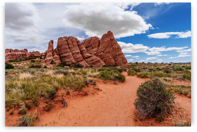 Path To Sand Dune Arch Mountain by Jennifer White