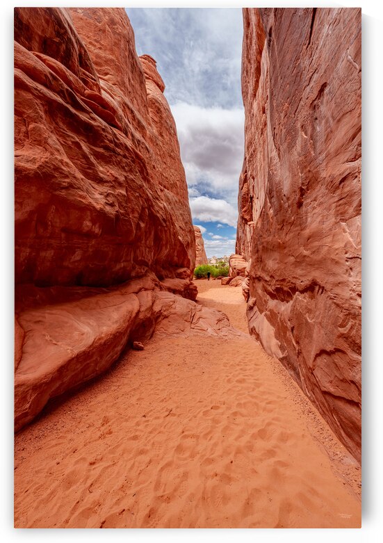 Sand Dune Rock Wall Pathway Vertical by Jennifer White