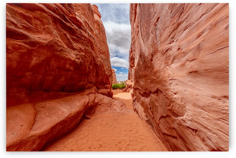 Sand Dune Rock Wall Pathway by Jennifer White