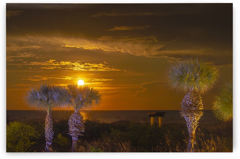 Port Royal Beach Sunrise by Norma Brandsberg Photography
