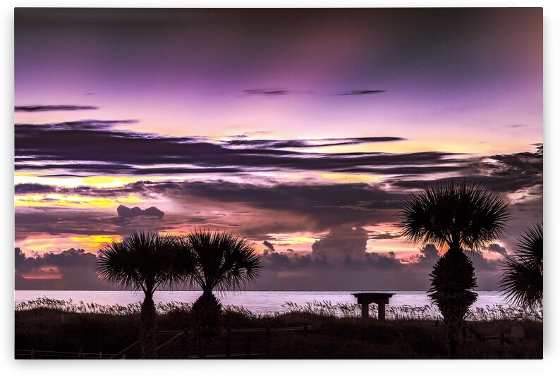 Hilton Head Island Beach Sunrise Sunbeams by Norma Brandsberg Photography