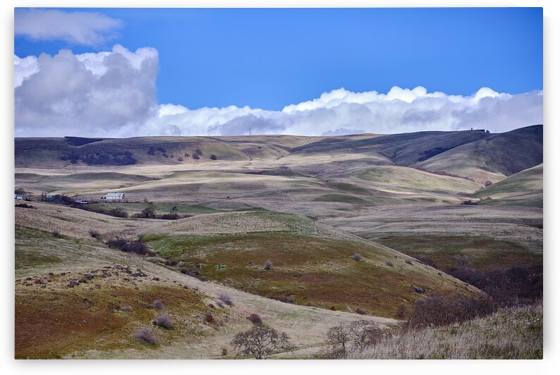 Ranchland [2] by Malcolm Cutchin Photography