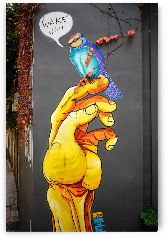 Caceres Street Art [Wake Up ] by Malcolm Cutchin Photography