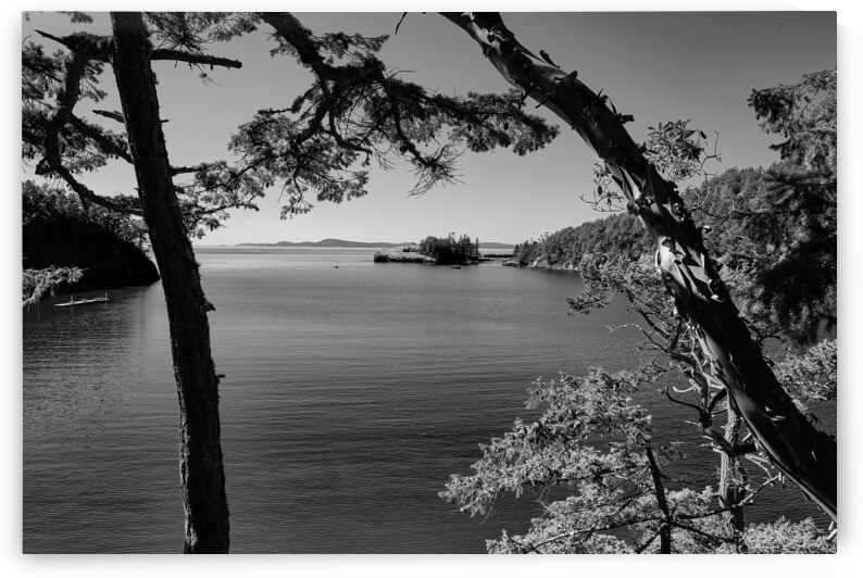 Bowman Bay [mono] by Malcolm Cutchin Photography