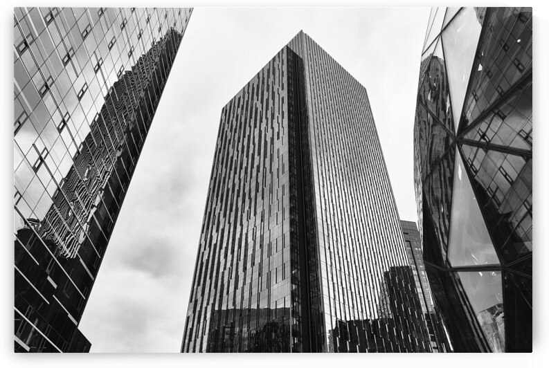 A Reflective Group by Malcolm Cutchin Photography