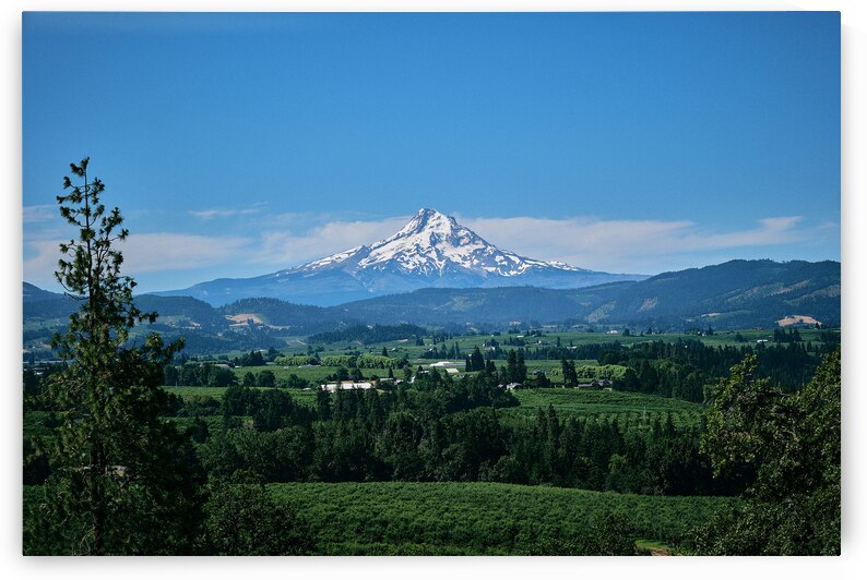 Hood River Valley to Mt Hood by Malcolm Cutchin Photography