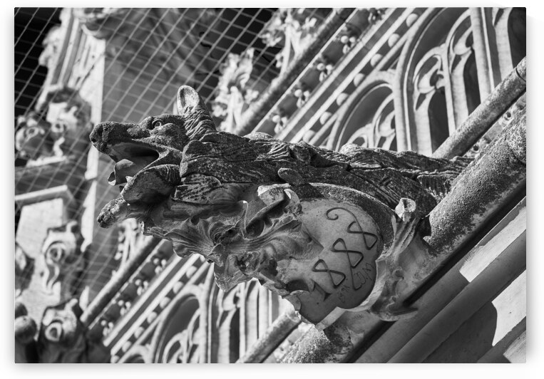 Spanish Gargoyle by Malcolm Cutchin Photography