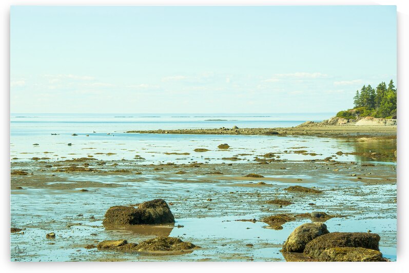 Vacances  by Claire Poulin