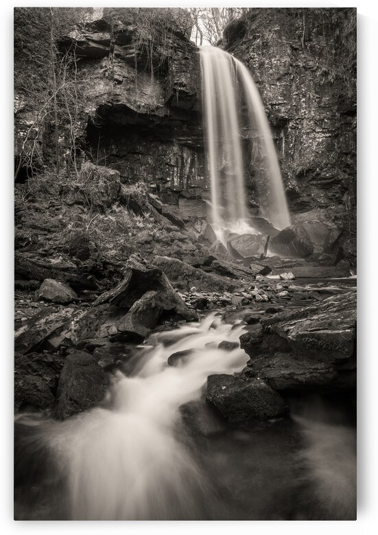 Melincourt Waterfall by Dave Bowman