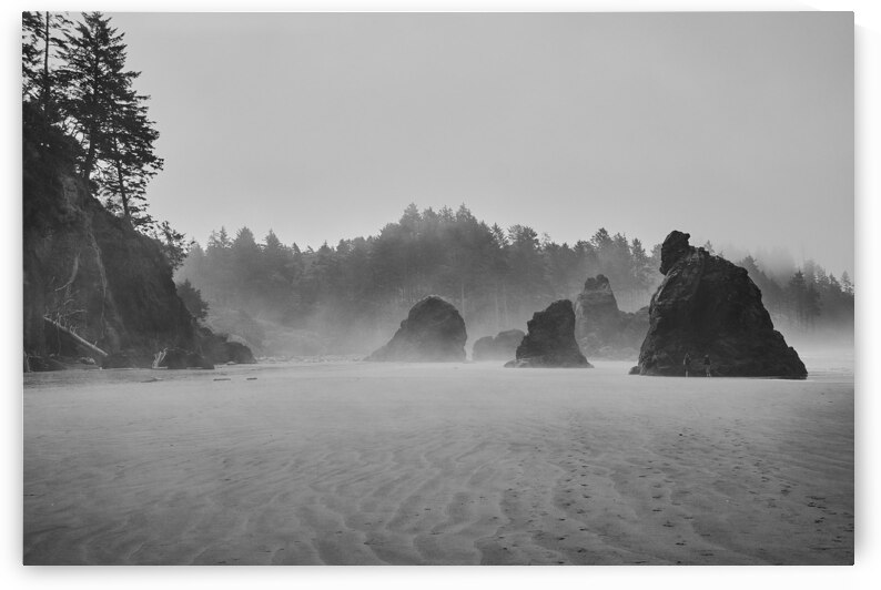 Foggy Beach Scene [4] by Malcolm Cutchin Photography