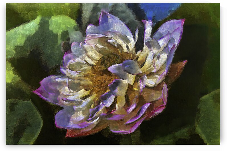 Lilly6 by Images By Jon Evan