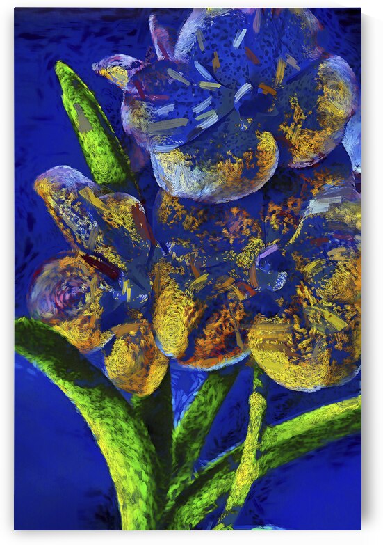 Flower 1 by Images By Jon Evan