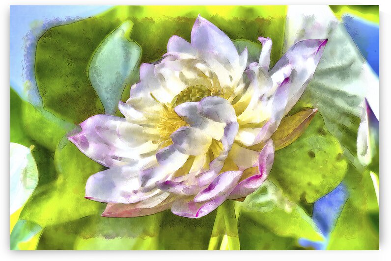 Lilly7 by Images By Jon Evan