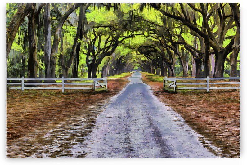 Venice 243 by Images By Jon Evan