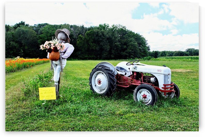 Tractor and Scarecrow: Whimsy on the Windrows by Click4Pix