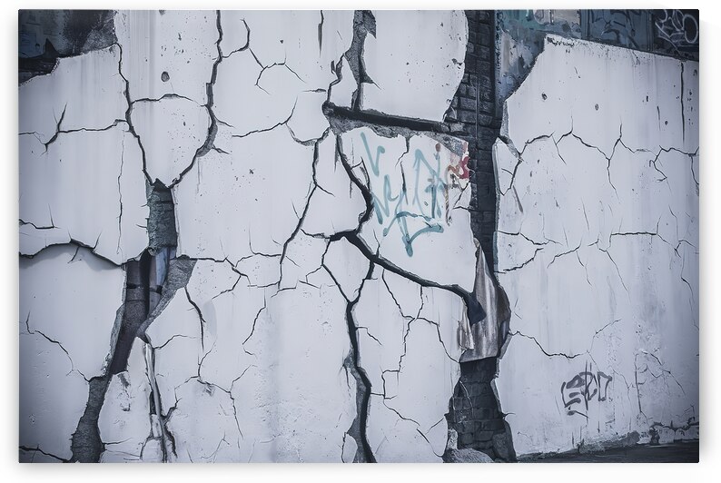 A striking high resolution image of a white broke by Gabriel Mocanu