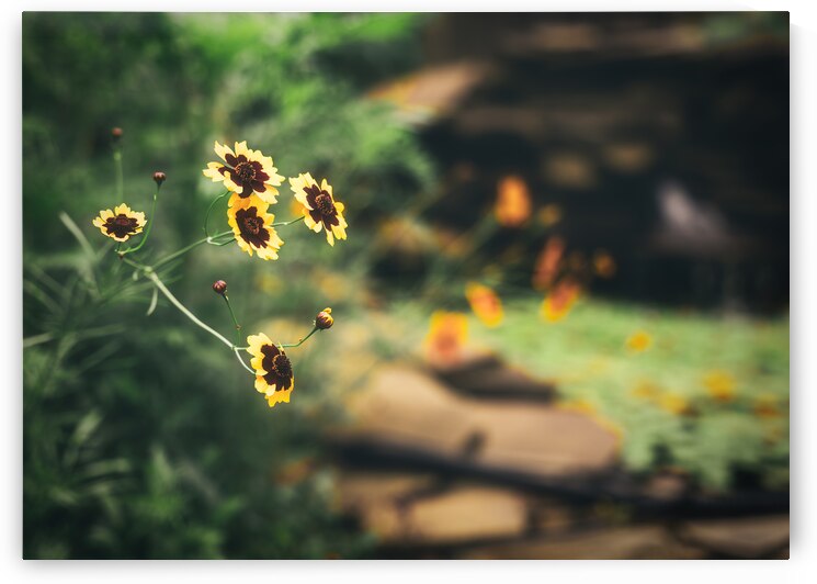 Flowers by the Pond No 1 by Jason Fink