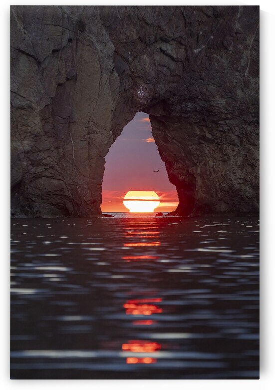 Le trou ensoleillé by Sophie Thibault