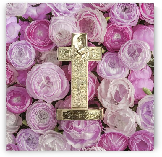 Leader s Award First Place for Achievement and Su by Ana Dragan