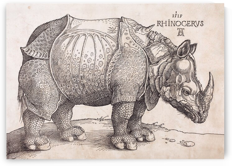 The Rhinoceros by Albrecht Durer by Tony Tudor