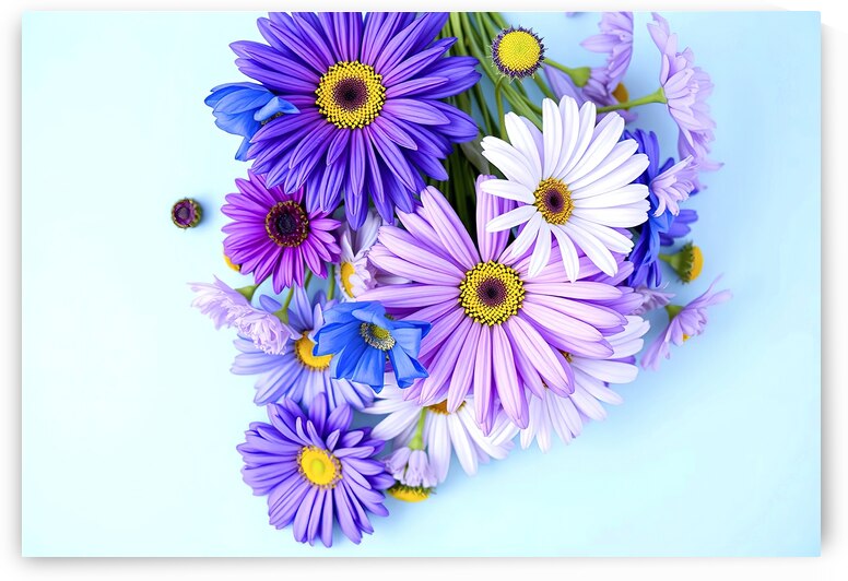 Colorful floral arrangement with blue and purple by Sofia Olinescu