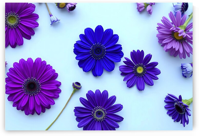 Colorful floral arrangement with blue and purple by Sofia Olinescu