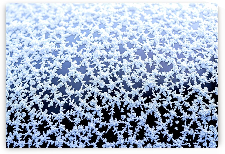 Intricate patterns of frost or ice crystals cover by Sofia Olinescu