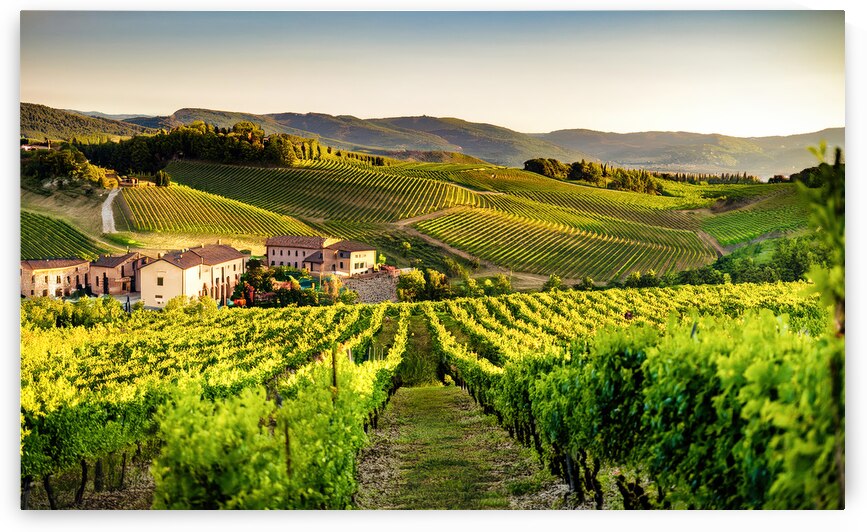 Golden Valley of Vineyards - GIA2401-0330-REA by JordiCarrio