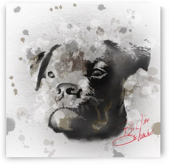 Bear by  Art of Bill De Loach