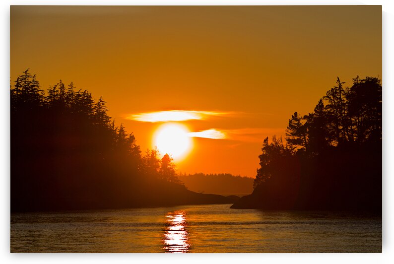 Sunlit Passage by CRB Images Photography