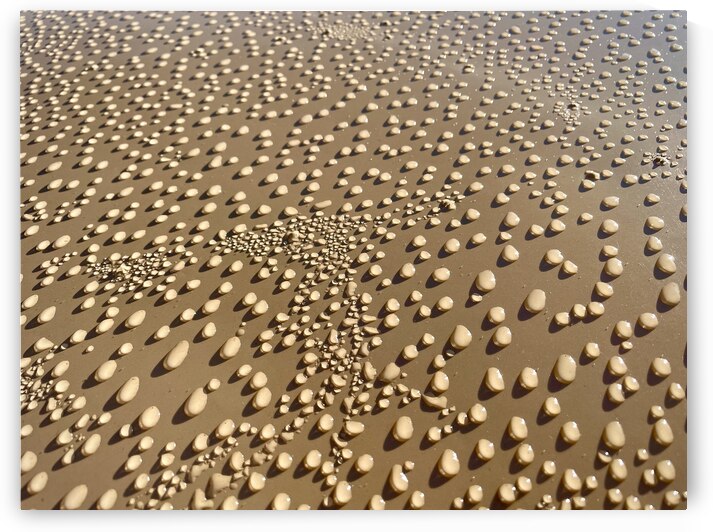 Morning Dew on an Ercoupe Wing by Bill Swartwout Photography