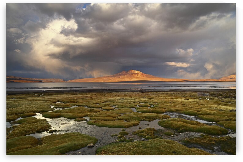 Storm clouds over bofedal wetlands and Lake Chungara Chile by Magical Andes Photography
