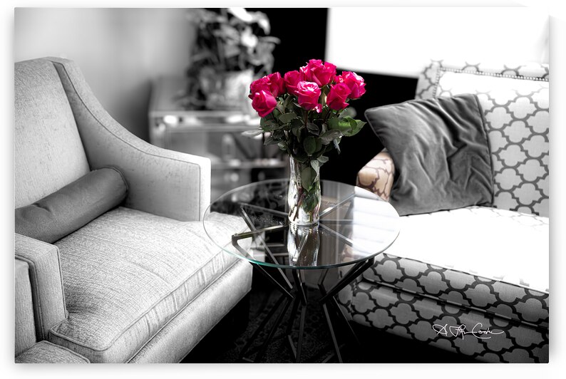 BZ9 2108 Enhanced NR by Susan Lynn Cooke