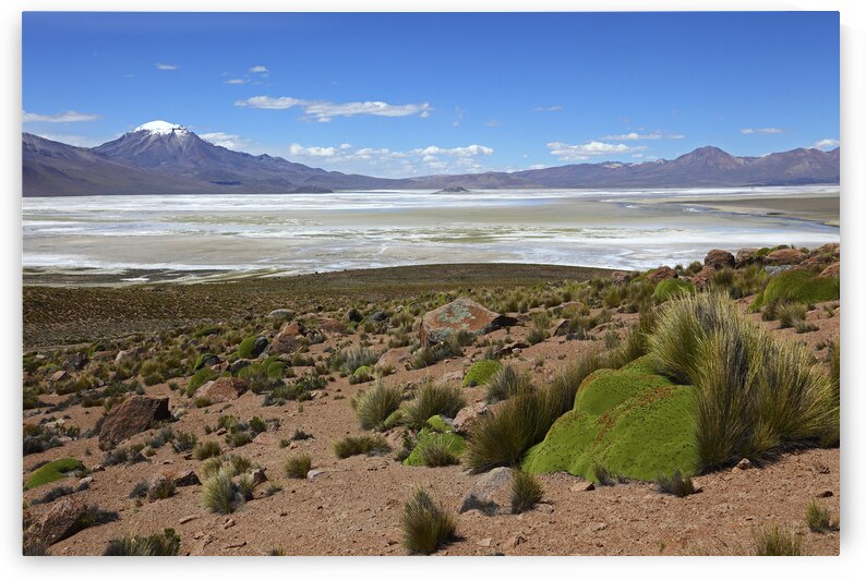 Salar de Surire panorama Chile by Magical Andes Photography
