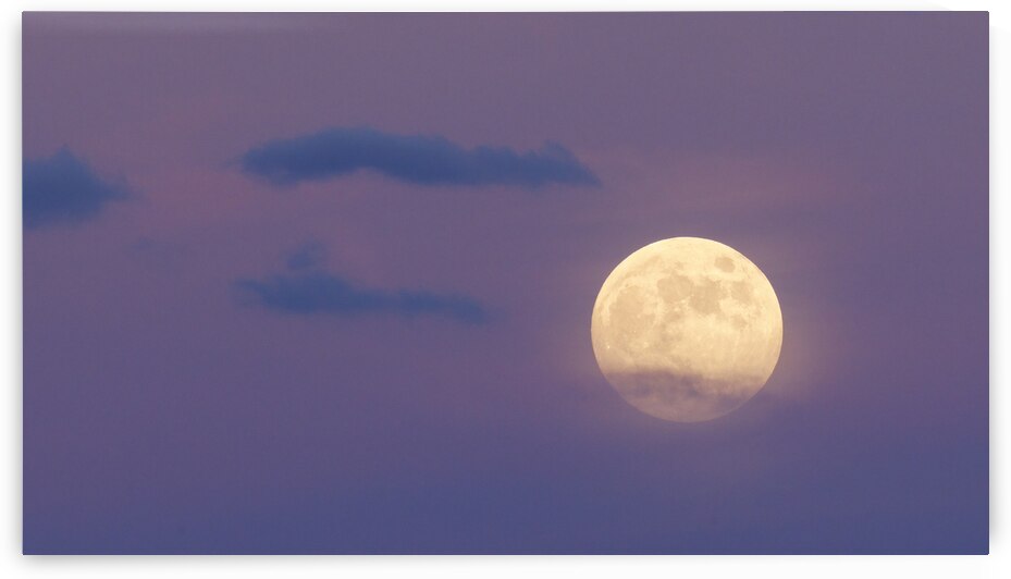 Moonlit Serenity: A Full Moon Rising Over Arizona by Shallowshark