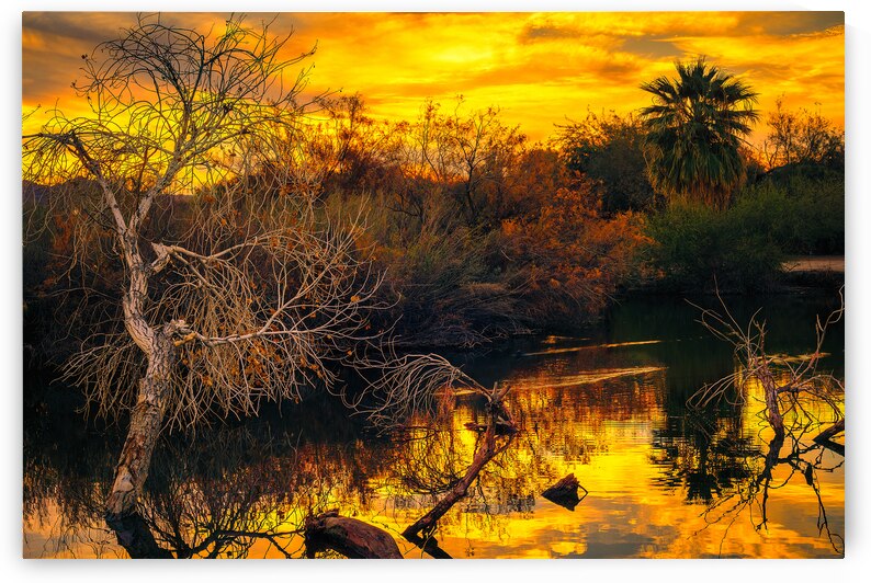 Reflections of Fire: Sunset Over Yuma Lakes AZ by Shallowshark