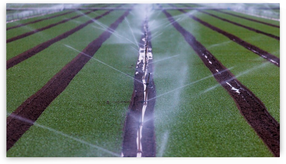 Irrigation Symphony: Cultivating Yumas Fertile Fields by Shallowshark