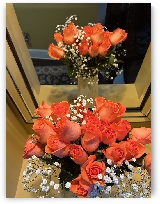 Salmon Roses  by WRR