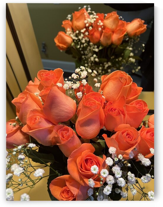 Salmon Roses I by WRR