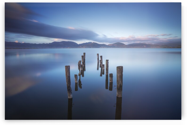 Poles in the lake remains of a pier. Lake Massaciuccoli by Stefano Orazzini