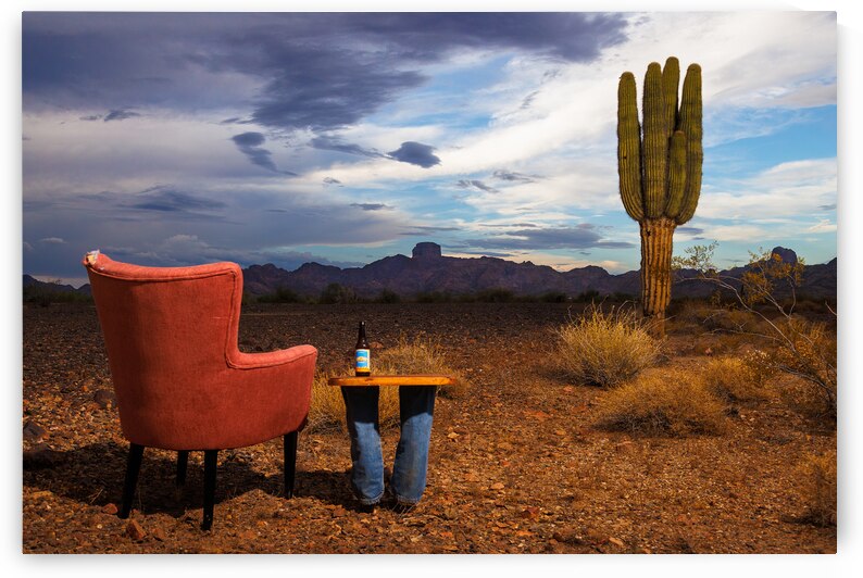 Desert Lounging: Relaxation in Kofa National Wildlife Refuge by Shallowshark