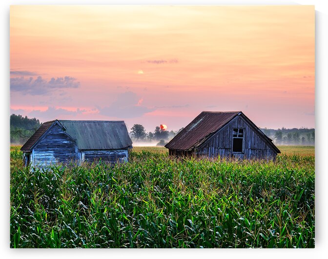 Daybreak Over the Farm by Andy Crawford