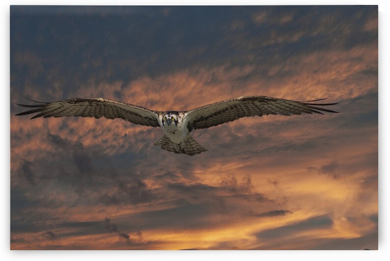 Stormy by EarthsMoments by Marc Harris photographer